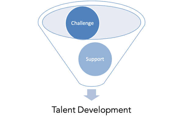 talent development funnel